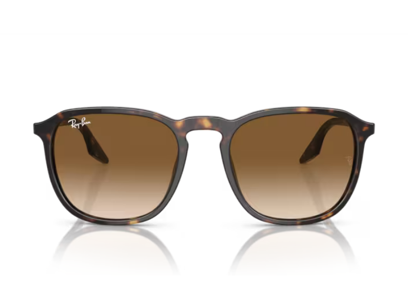 HAVANA RB2203 902/51 52