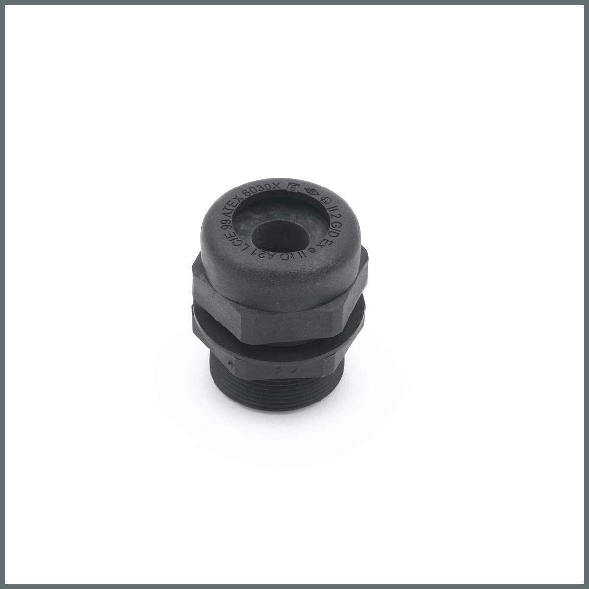 Palazzoli UNI-EX Serisi Rakor IP66/IP68 Pg29 / Vida Uz.:12