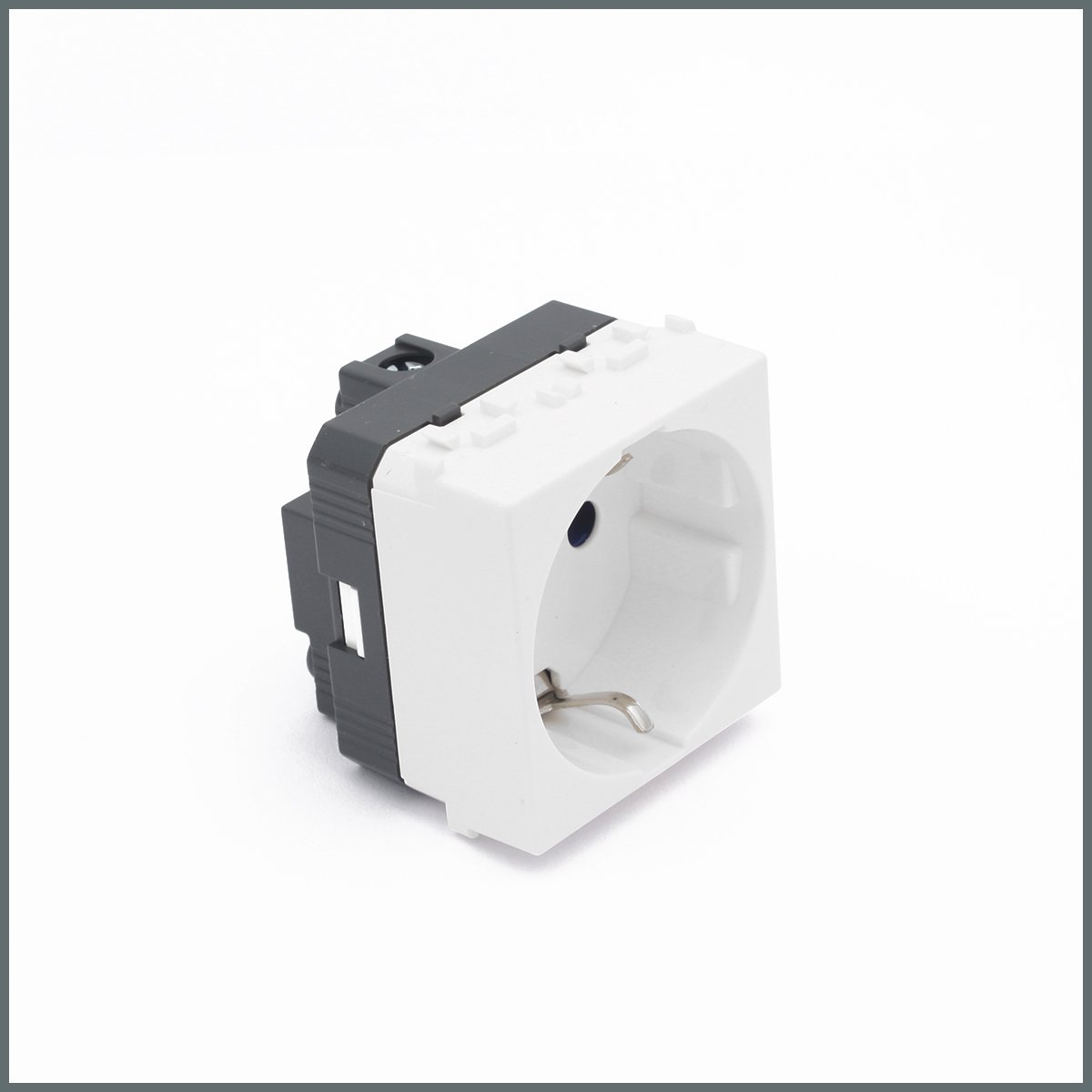 Ev Tipi Modüler CihazlarPalazzoli domoTER Serisi Schuko Priz (2 Modül) 16A 250V 2P+T (İtalyan/Alman) P30