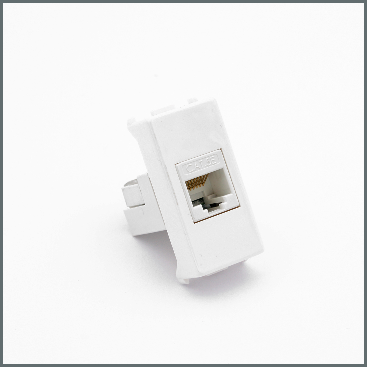 Ev Tipi Modüler CihazlarPalazzoli domoTER Serisi  RJ45 Data Prizi 