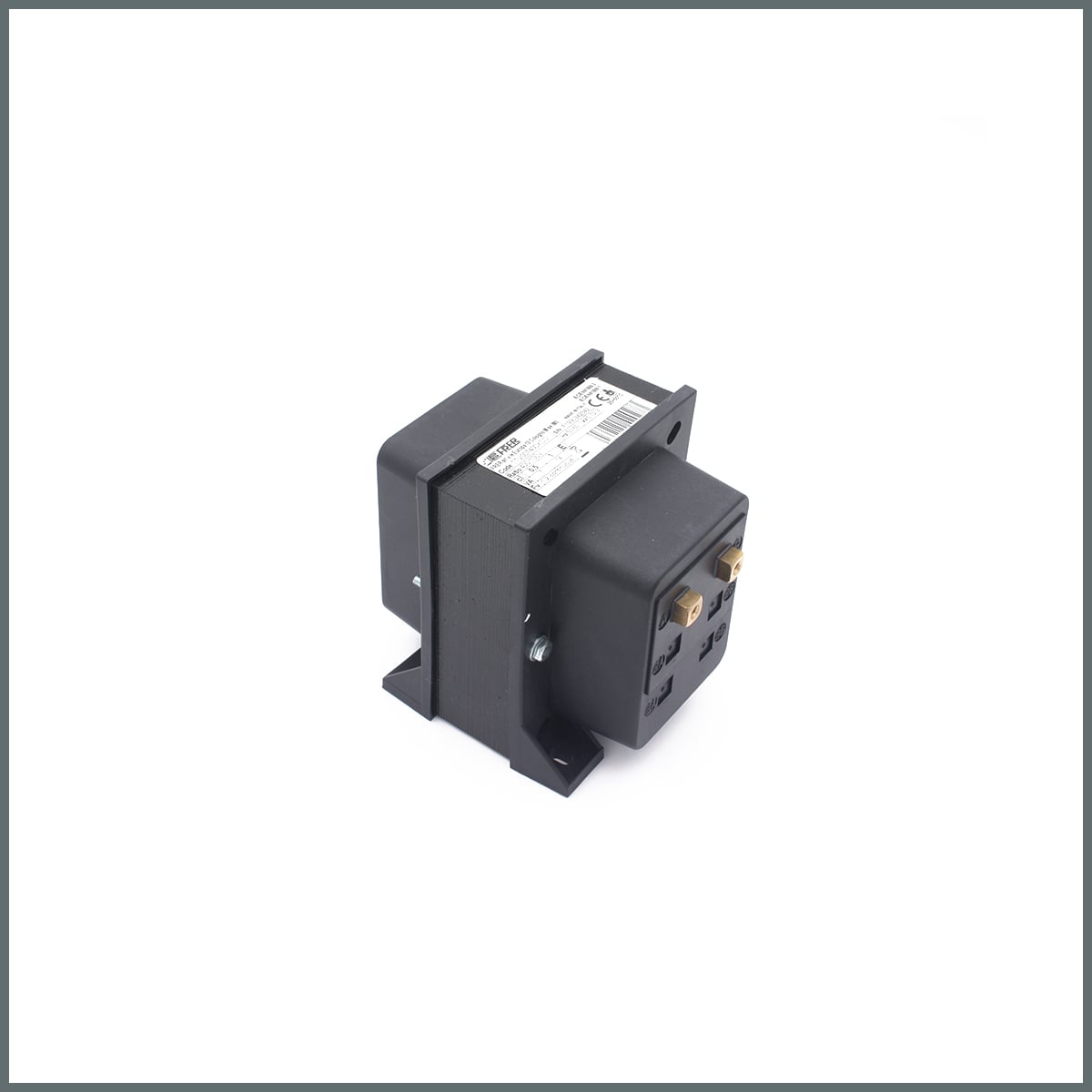 TTV007 Serisi 400/100 V Gerilim Trafosu  cl.0,5 (7 VA)