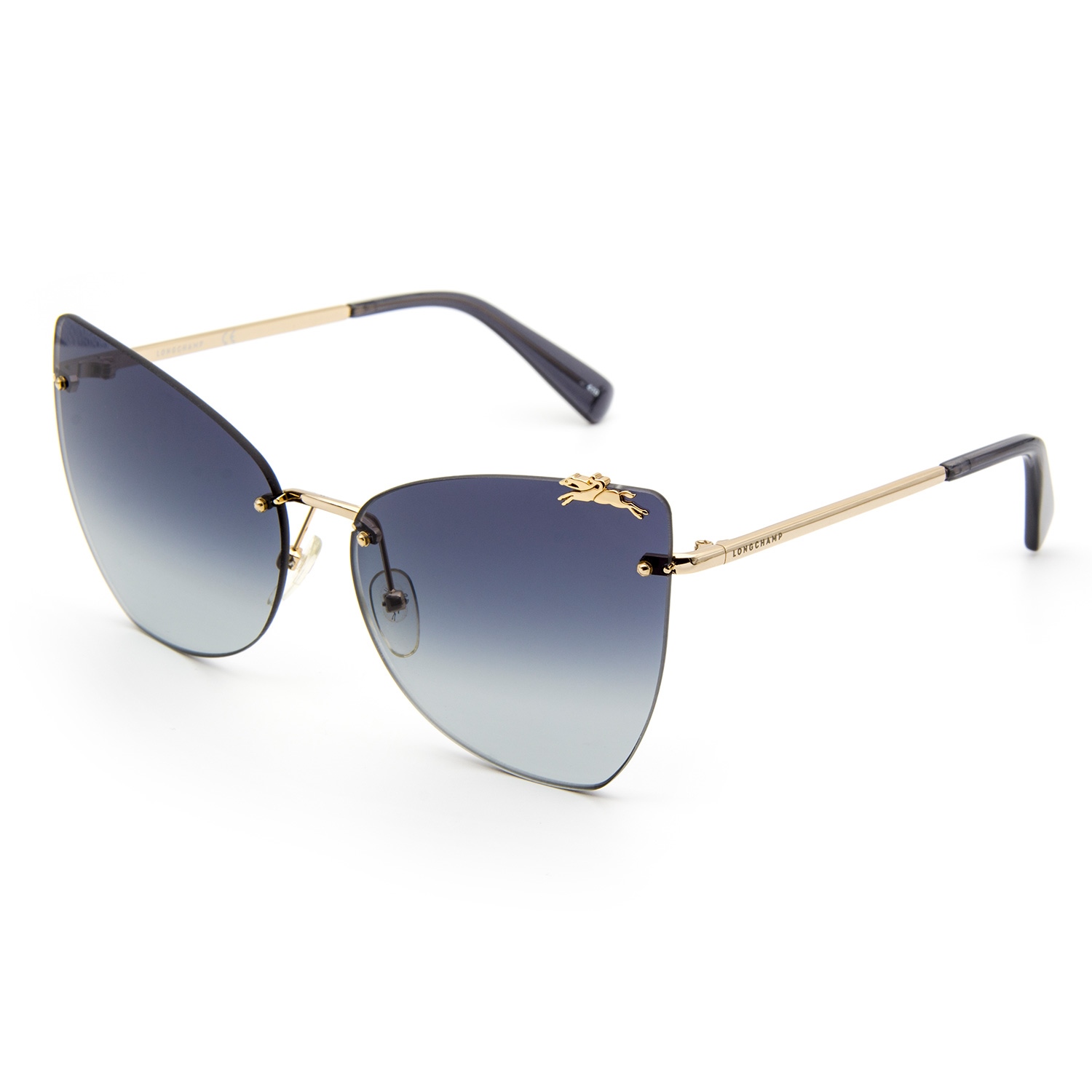 Longchamp 119S 035 Kadın Güneş Gözlüğü