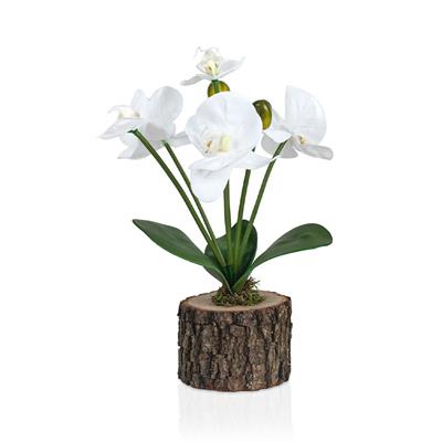 Doğal Kütük Saksıda Yapay Islak Orkide