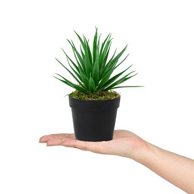 Siyah Mini Plastik Saksıda Yapay Aloe Vera Çiçeği