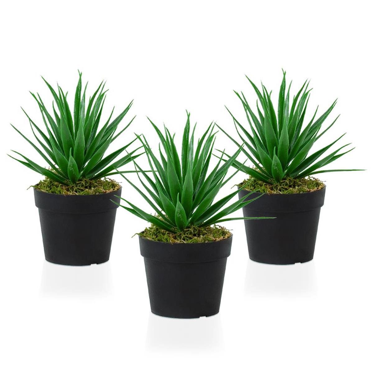 3 Adet Siyah Mini Plastik Saksıda Yapay Aloe Vera Çiçeği