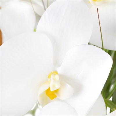 Geniş Eskitme Altın Oval Vazoda Aranjman Beyaz Yapay Orkide