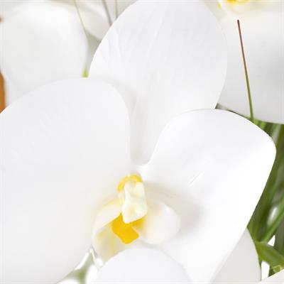 Geniş Gold Oval Vazoda Aranjman Beyaz Yapay Orkide