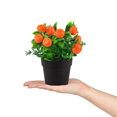 Siyah Mini Plastik Saksıda Yapay Mandalina Çiçeği