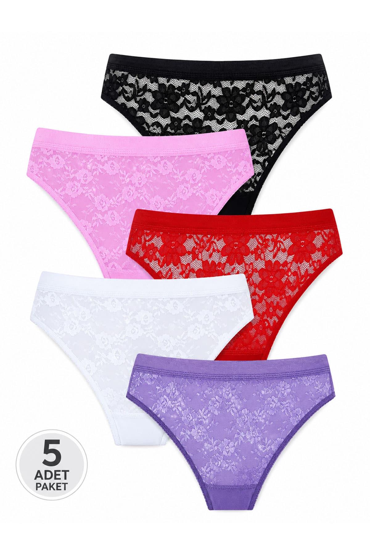 5li Kadın Dantelli Bikini Külot Pamuklu Arkası Düz