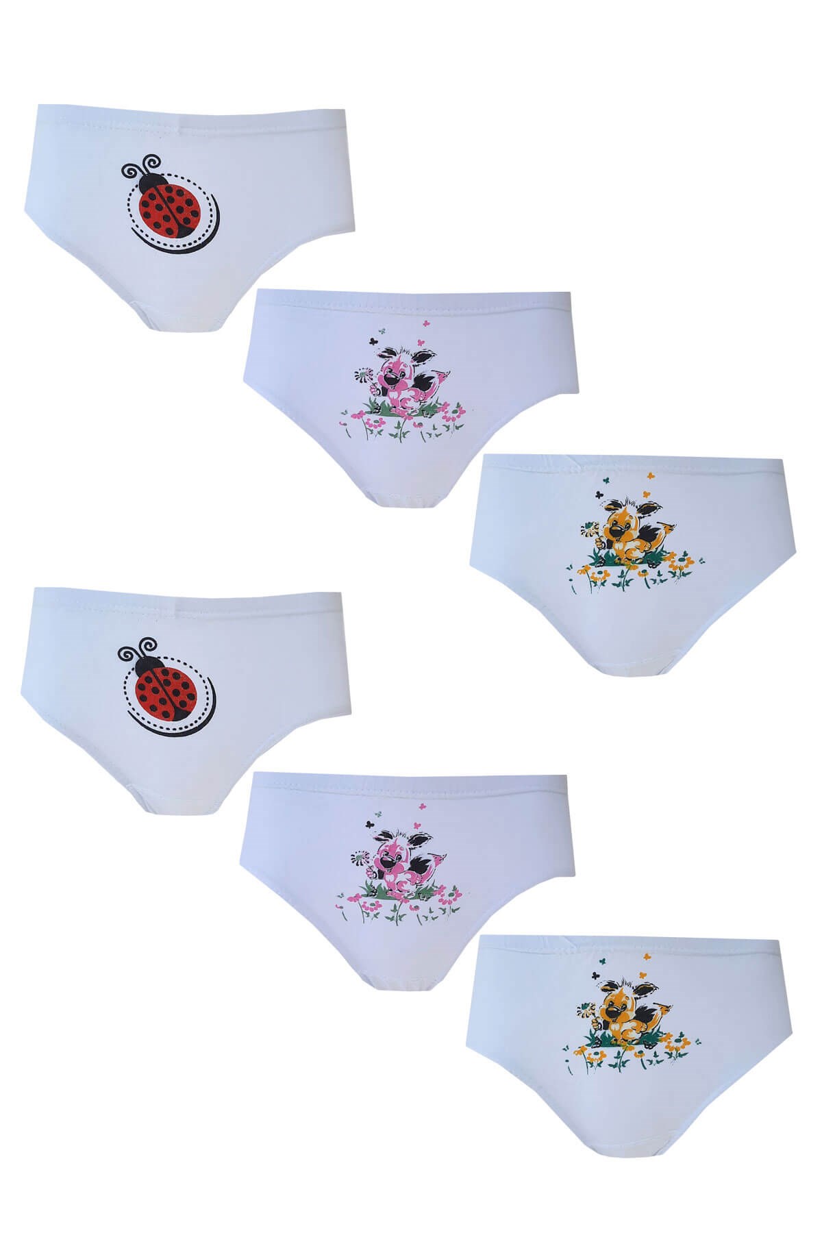 6lı Kız Çocuk Slip Külot Baskılı Pamuklu Rahat Ekonomik 