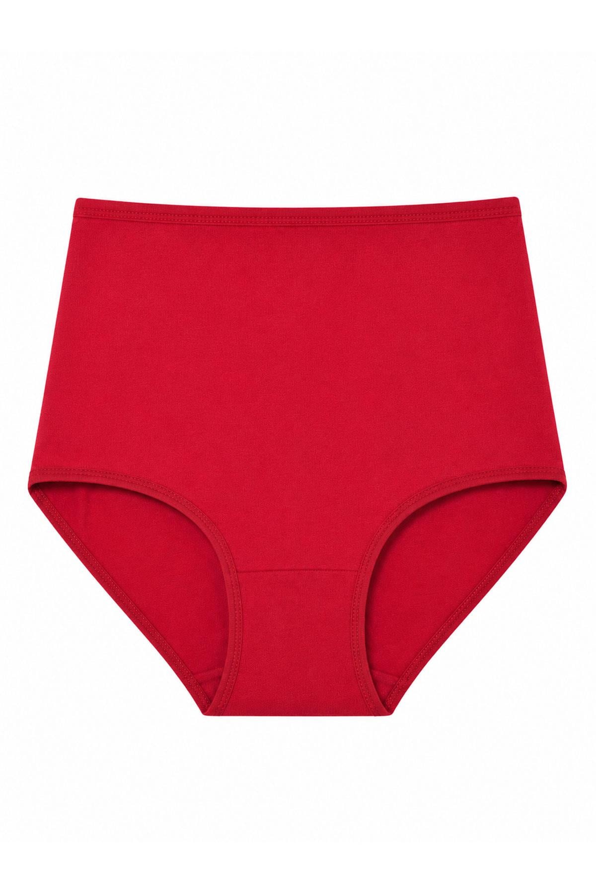 Kadın Büyük Beden Bikini Yüksek Bel Pamuklu Külot Ekonomik