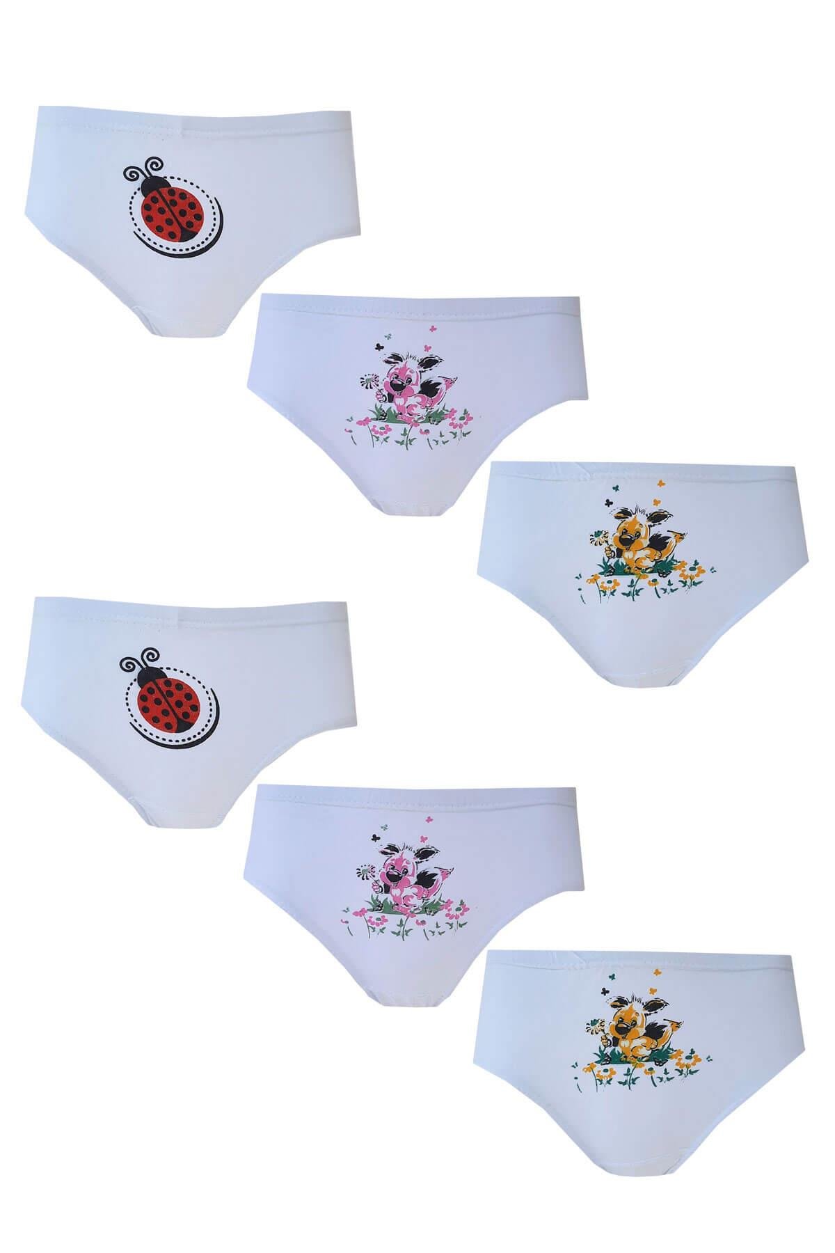 Seher Yıldızı İç Giyim Kız Çocuk Pamuklu Slip Külot 6 lı Paket