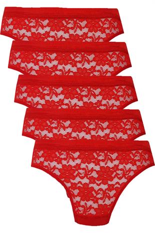 5li Kadın Dantelli Bikini Külot Pamuklu Arkası Düz