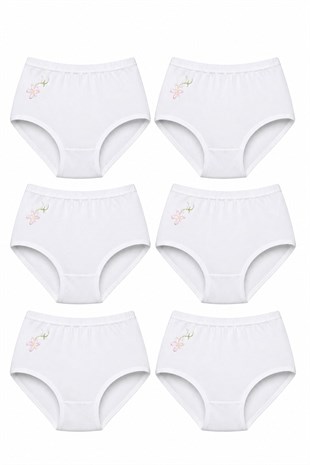 6lı Seher Kadın Yüksek Bel Külot İşlemeli Bato Slip