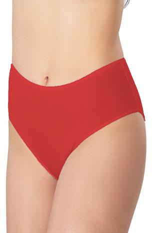 Kadın Büyük Beden Bikini Yüksek Bel Pamuklu Külot Ekonomik