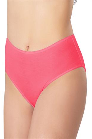 Kadın Büyük Beden Bikini Yüksek Bel Pamuklu Külot Ekonomik