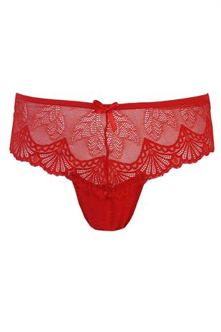 Tutku Kadın Dantel Külot Büyük Beden Bikini 