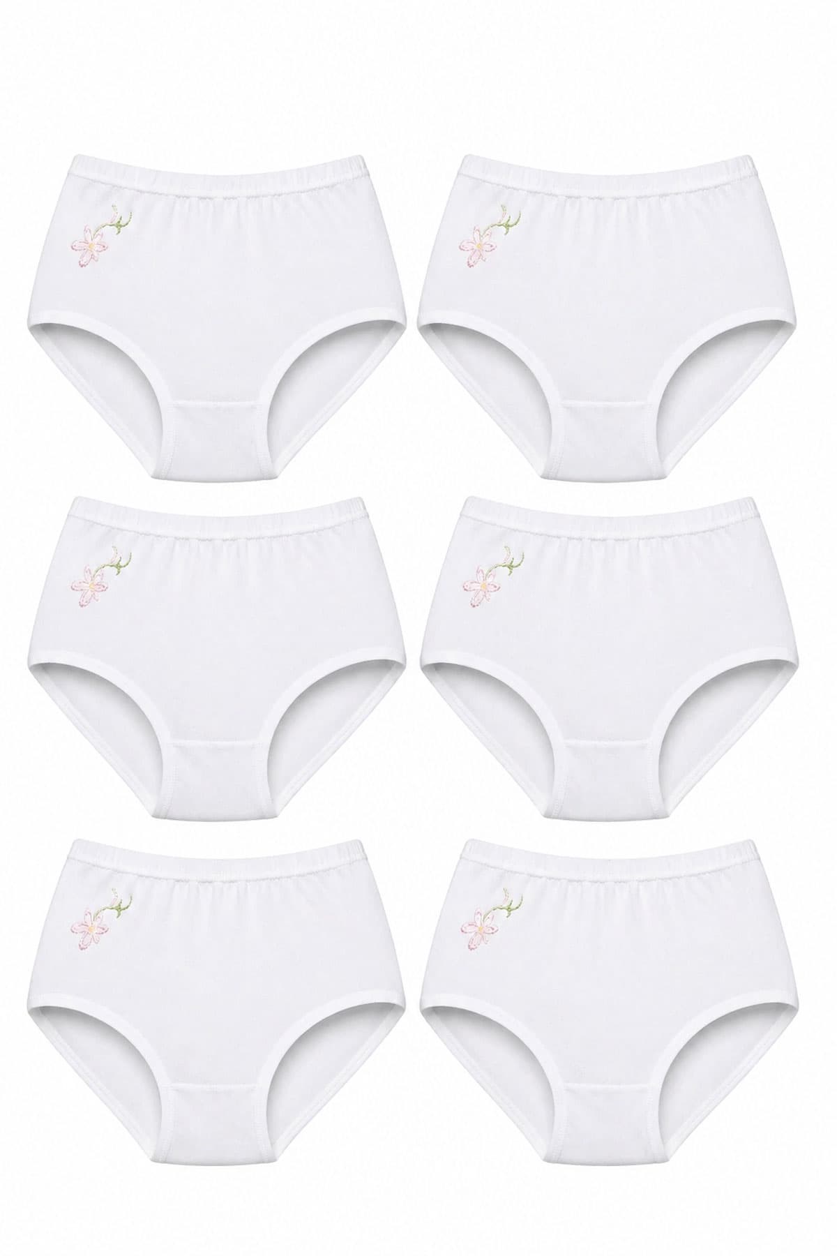 6lı Seher Kadın Yüksek Bel Külot İşlemeli Bato Slip