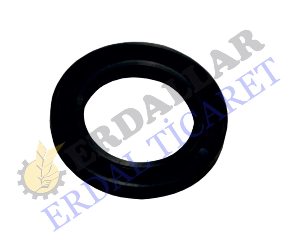 AYNA MARTİ KEÇESİ BÜYÜK