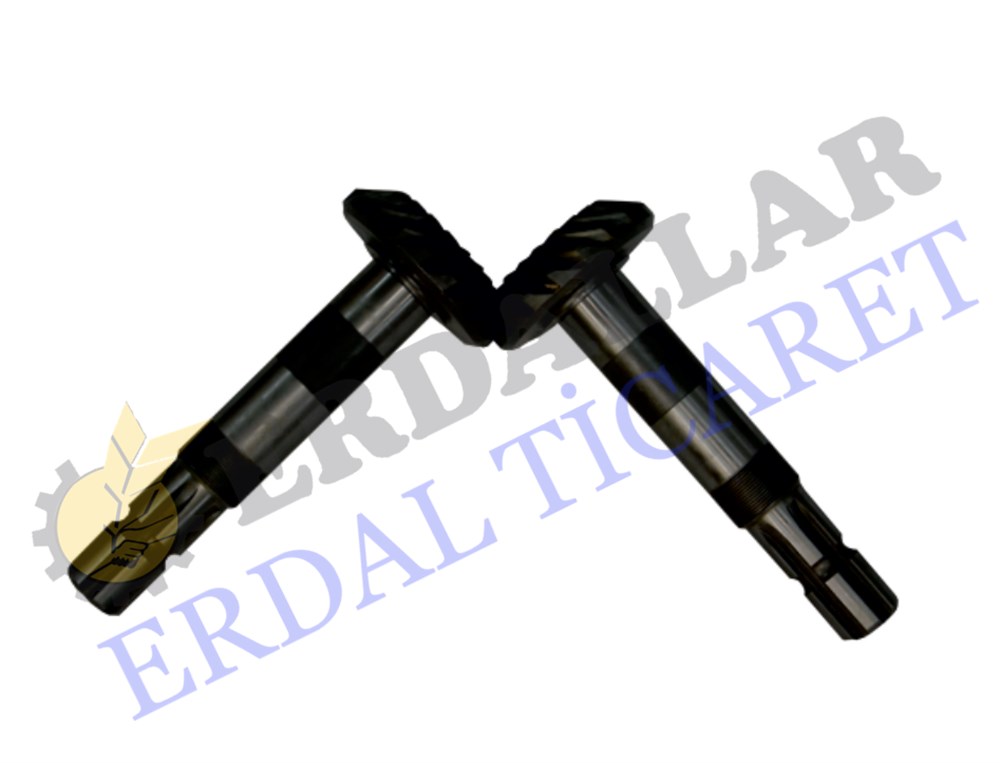 HAŞPAY ŞANZIMAN DİŞLİSİ TAKIM GALLİGNANİ TİPİ