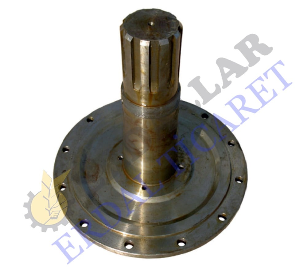 AYNA MARTİ GÖBEĞİ