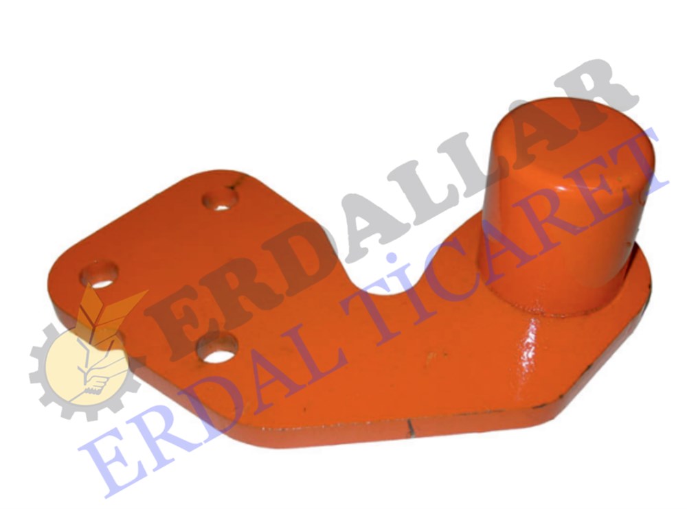 TIRMIK BAĞLANTI KULAĞI DIŞ GALLİGNANİ TİPİ