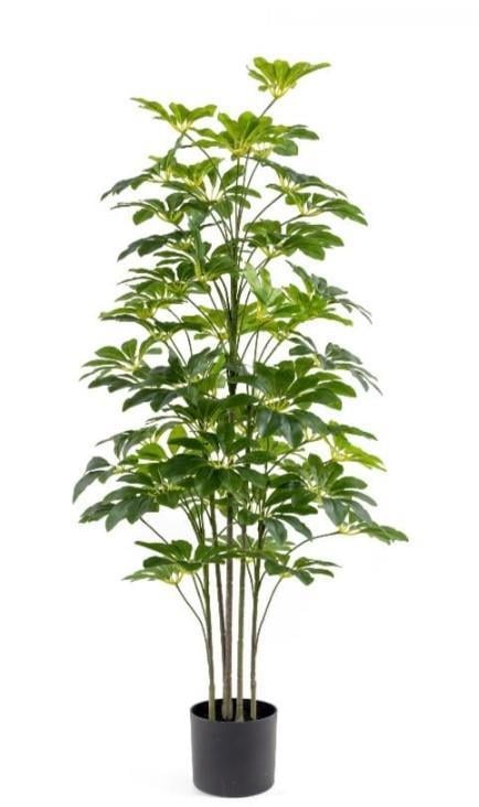 Çinpa Sheflera Real Touch 125 Cm 0103627