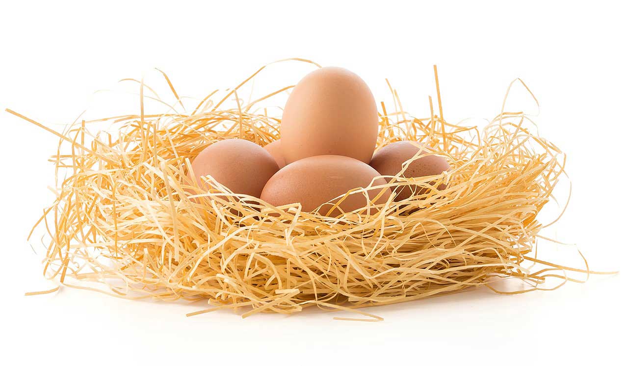 Yumurta Nedir? Faydaları Nelerdir?