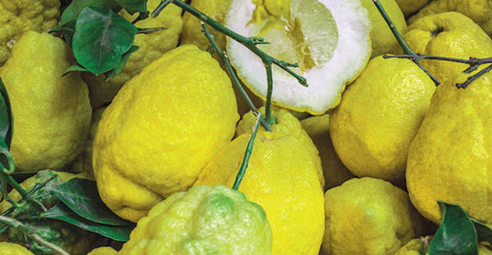 Citron Limonu 