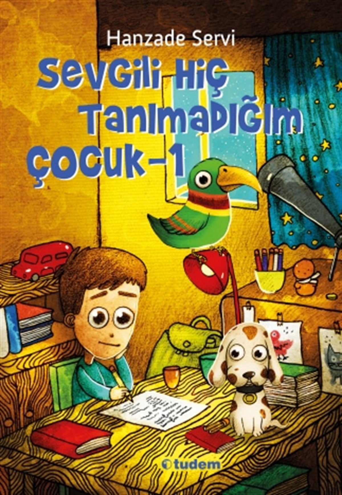 Sevgili Hiç Tanımadığım Çocuk-1