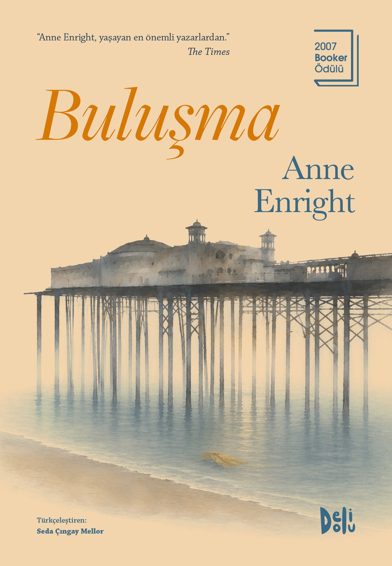 Anne EnrightBuluşma
