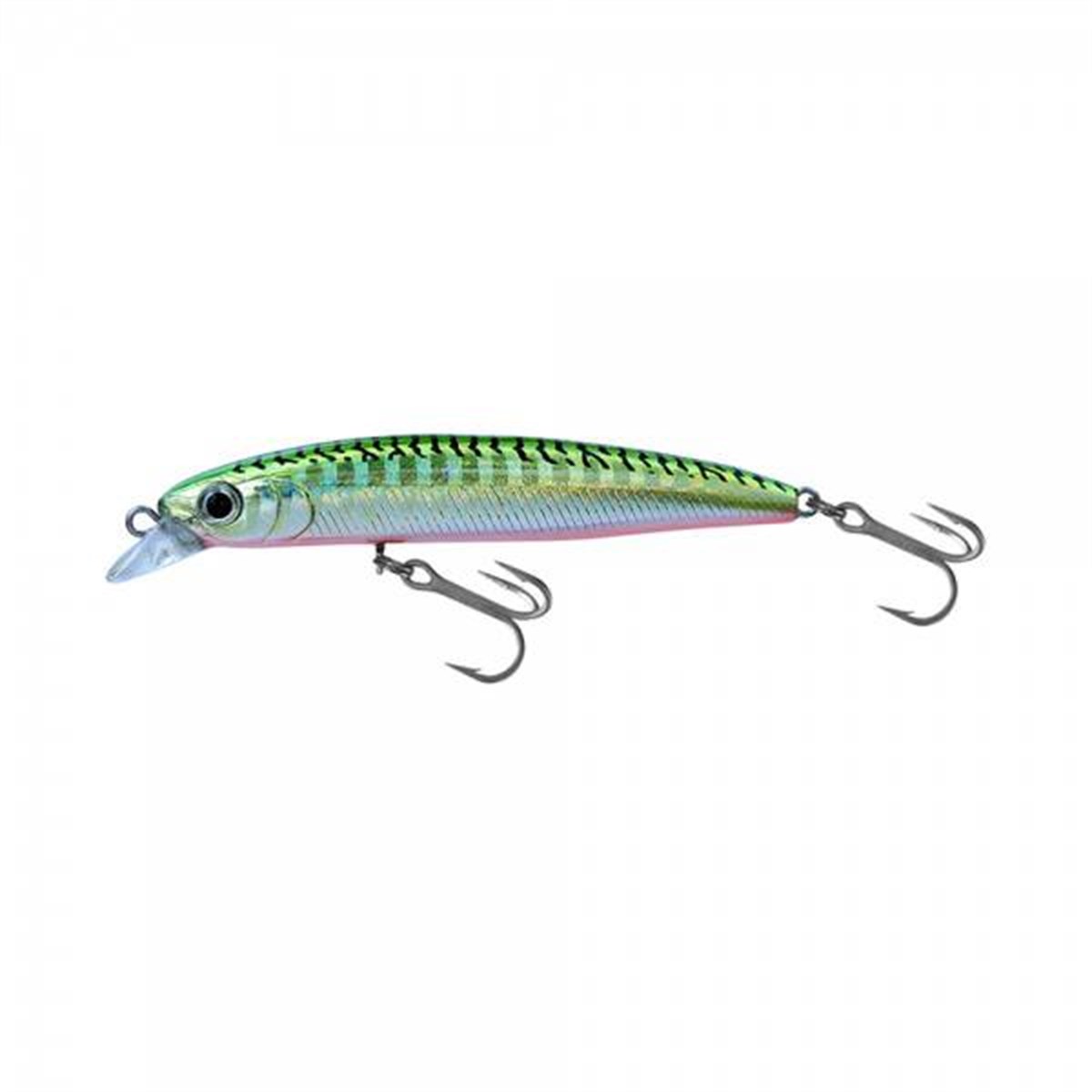Japanese Minnow HG2451
