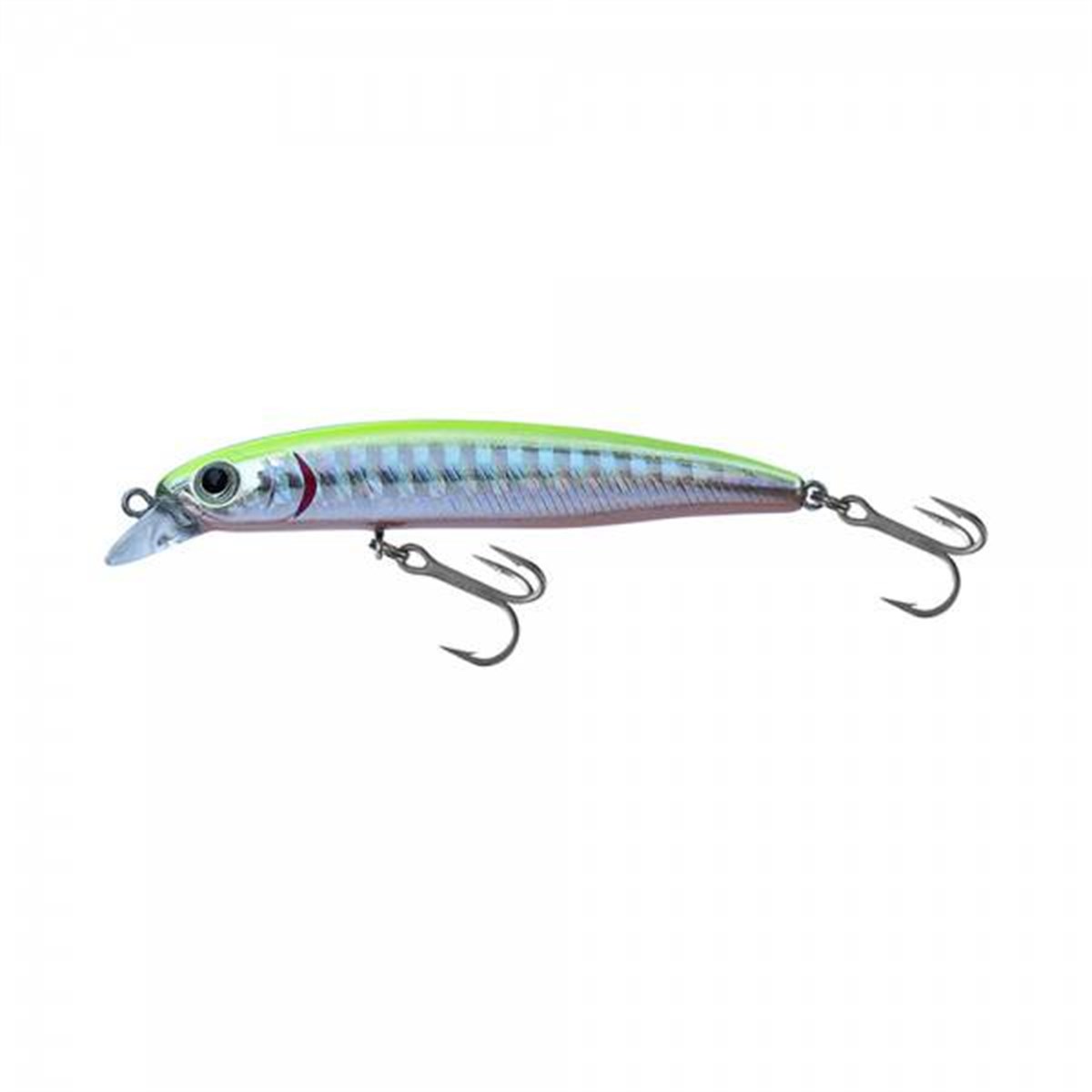 Japanese Minnow HG2459