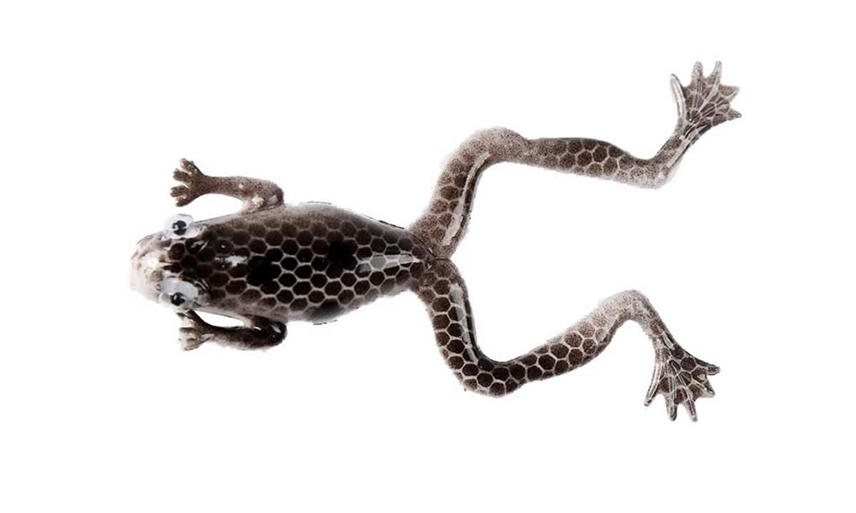 Mutant 3599 Killer Frog 6cm 3'lü Silikon Kurbağa Suni Yem B03