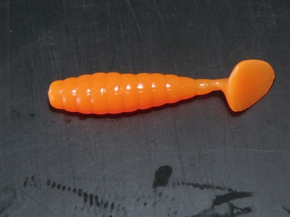 Sasy solucan Turuncu Orta boy