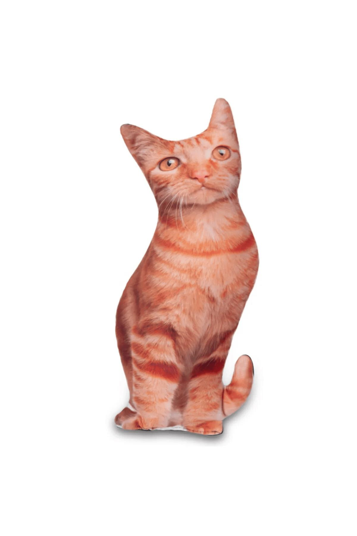 Lepus Üç Boyutlu Kedi Yastığı No7