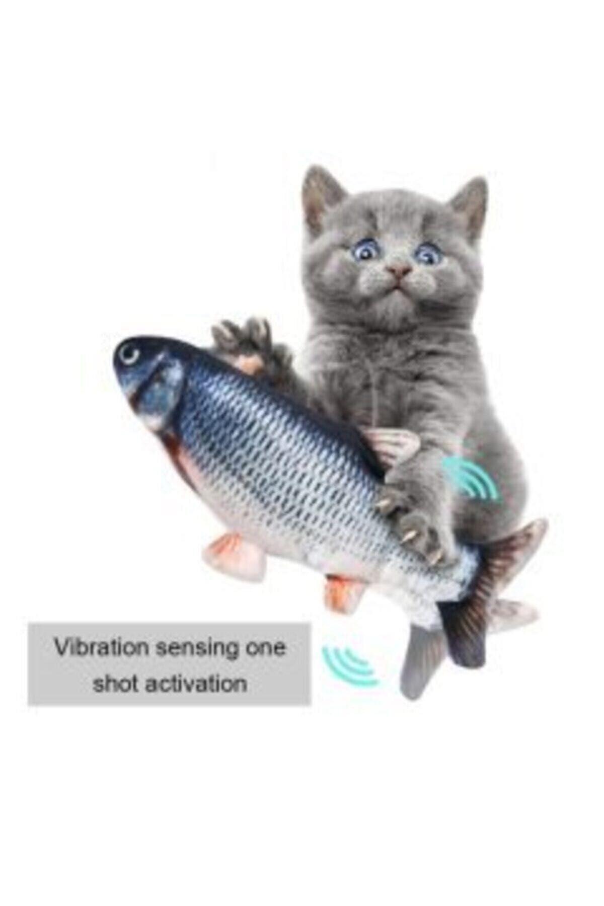 Lion Hareketli Balık Kedi Oyuncak