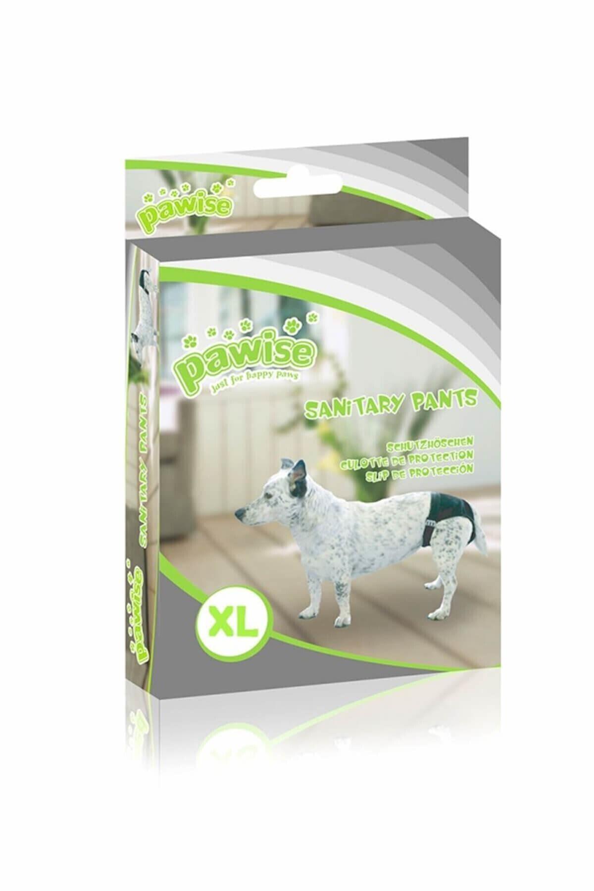Pawise Köpek Külotu No:4
