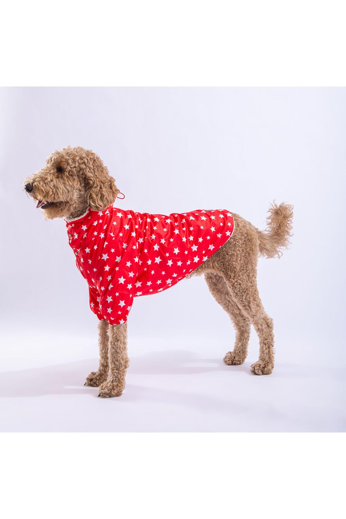 Pawstar  Kırmızı Stars Orta ve Büyük Irk Köpek Montu Köpek Yağmurluk Köpek Elbisesi Köpek Kıyafeti - 4XL