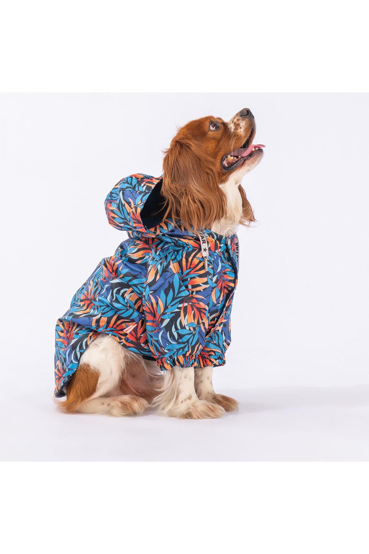 Pawstar Autumna Polarlı Köpek Montu Köpek Yağmurluk Köpek Kıyafeti Köpek Elbisesi XL