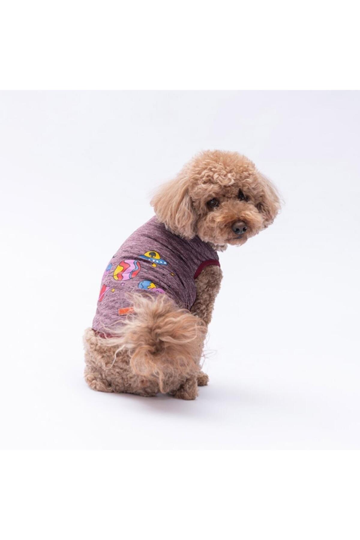 Pawstar Bordo Space Time Kedi Köpek Tişörtü - Kedi Köpek Kıyafeti XL