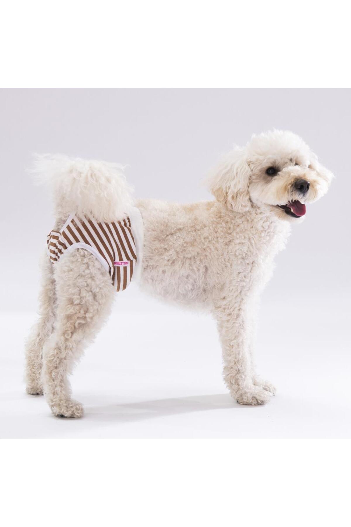 Pawstar Çizgili Kedi-köpek Çamaşırı Regl Kilodu 0  Numara(3'LÜ PAKET)
