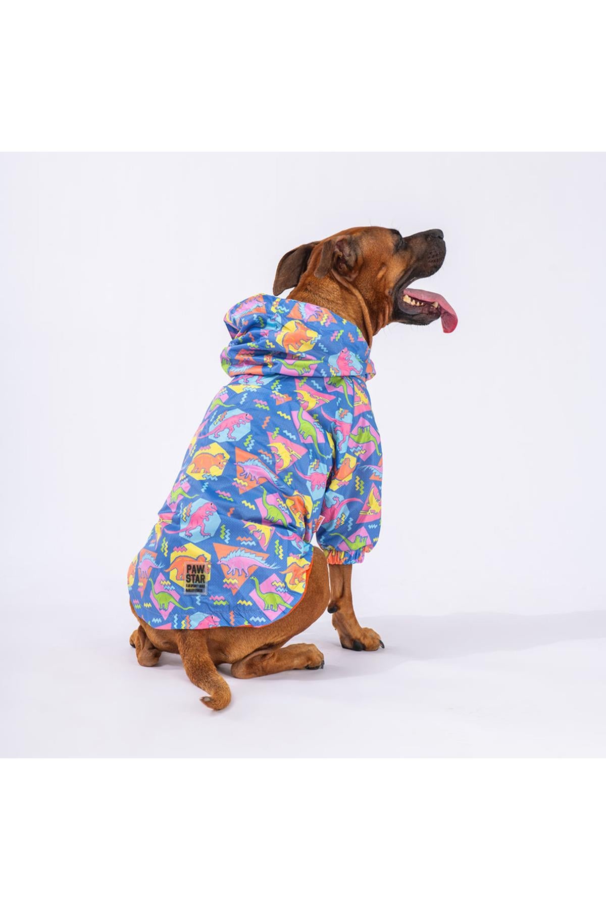 Pawstar Dinosaurum Fileli Orta ve Büyük Irk Köpek Montu Köpek Yağmurluk Köpek Elbisesi Köpek Kıyafeti 3XL