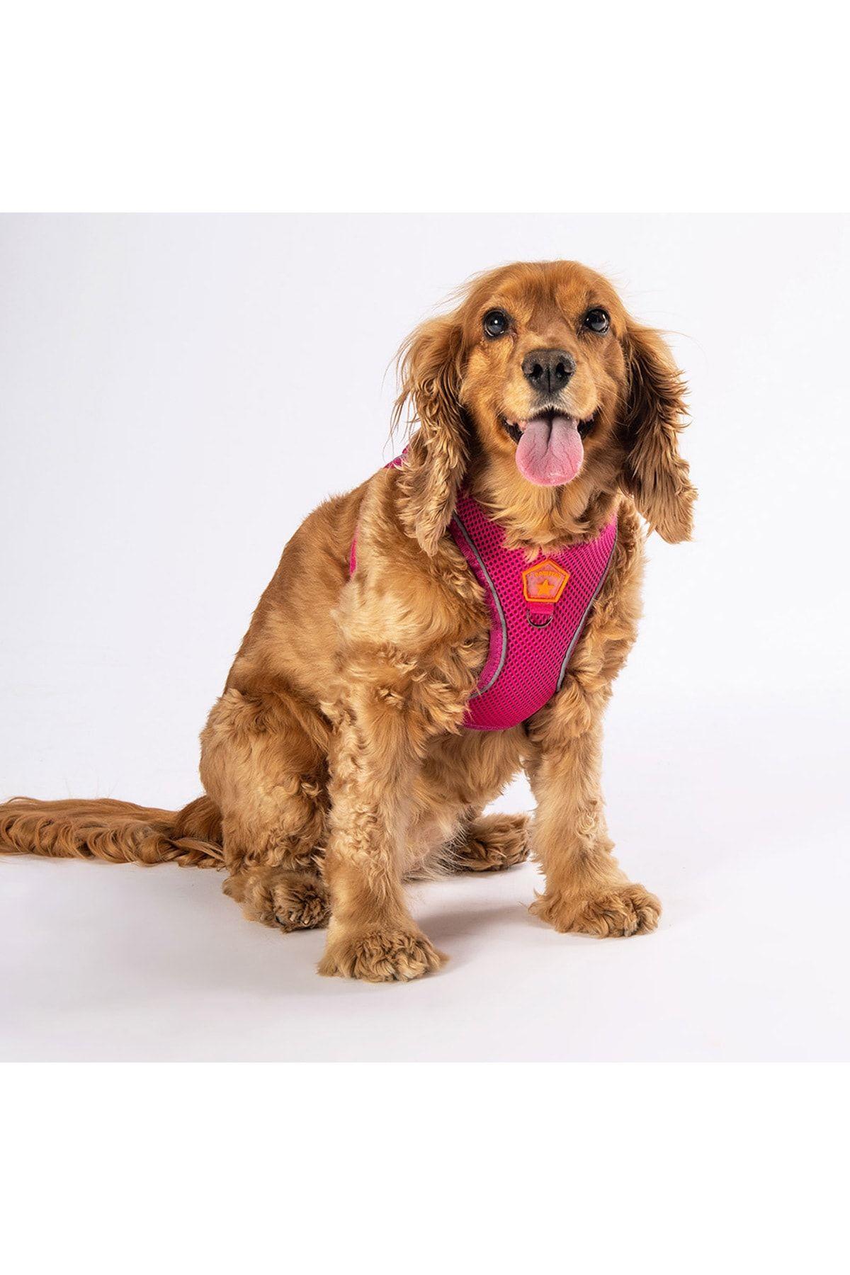 Pawstar Fuşya Air-mesh Göğüs Tasması Kedi Köpek Göğüs Tasması XL