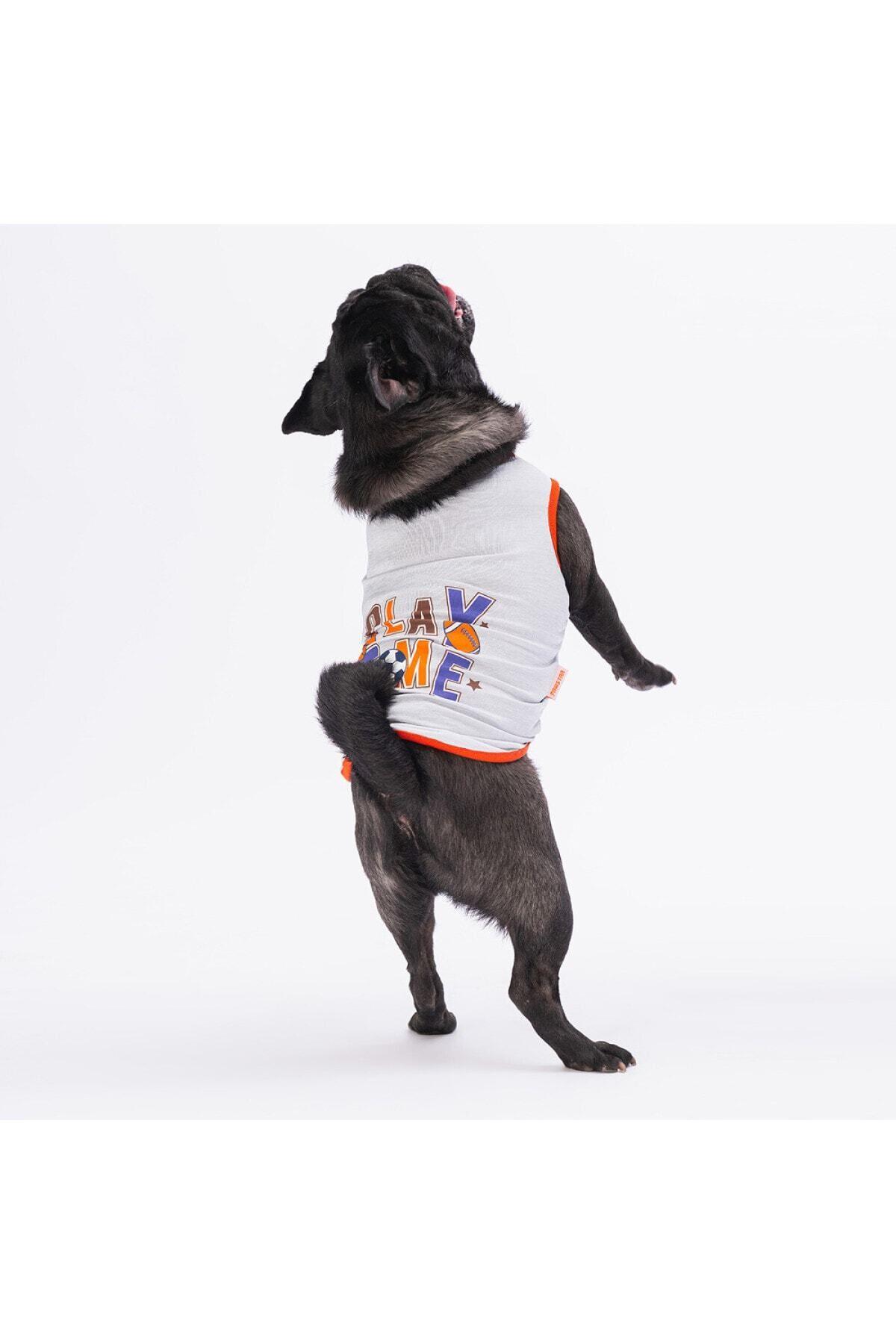 Pawstar Gri Sporty Kedi Köpek Tişörtü - Kedi Köpek Kıyafeti 2XL