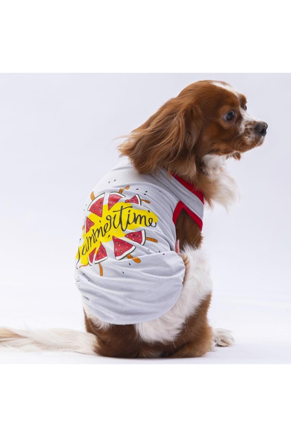 Pawstar Gri Summer Time Kedi Köpek Tişörtü - Kedi Köpek Kıyafeti 2XL