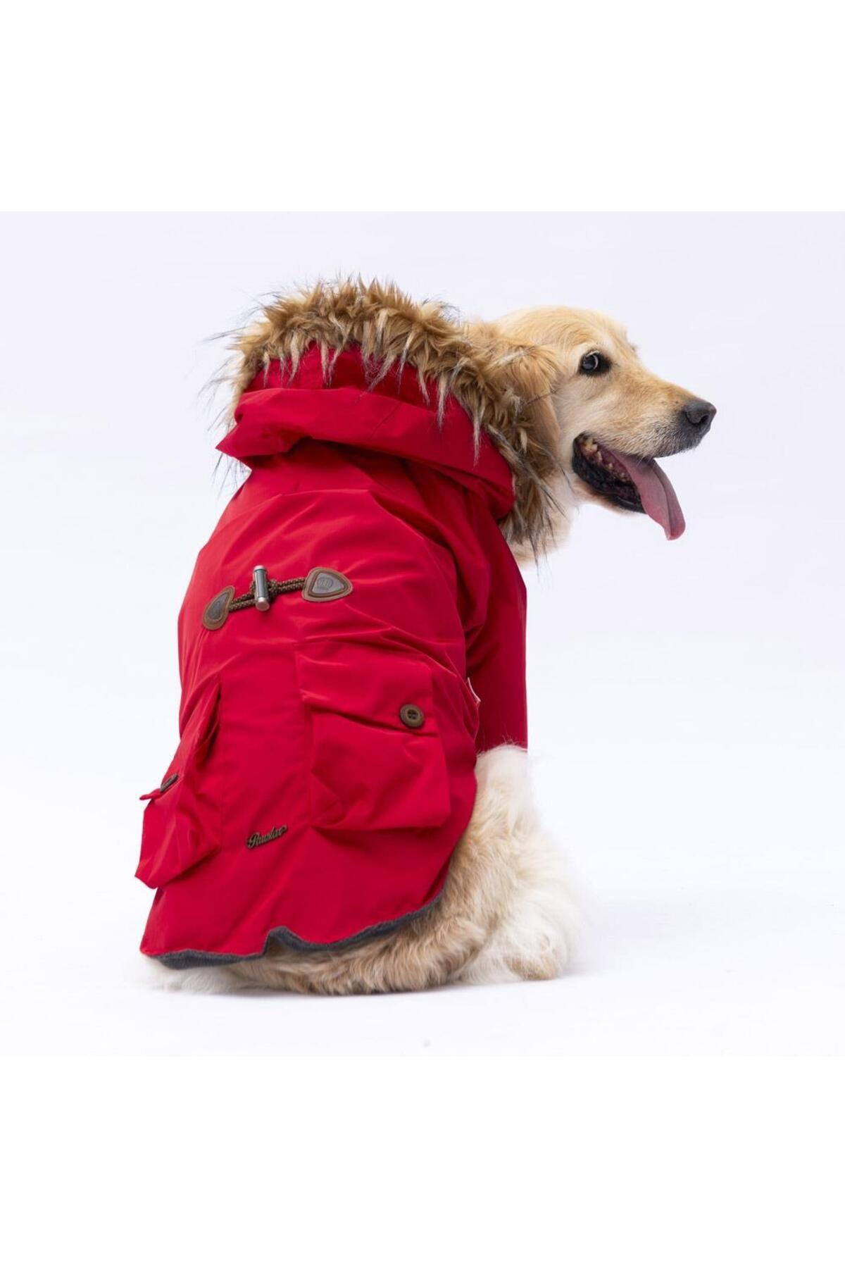 Pawstar Kırmızı Charles Büyük Irk Köpek Mont Köpek Yağmurluk Köpek Kıyafeti Köpek Elbisesi 4XL