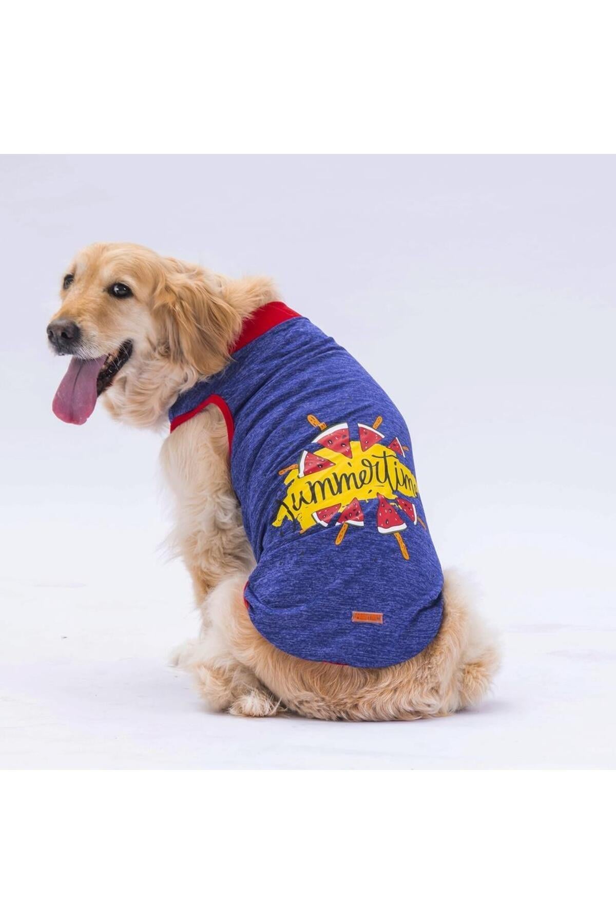 Pawstar Lacivert Summer Time Büyük Köpek Tişörtü - Köpek Kıyafeti 3xl