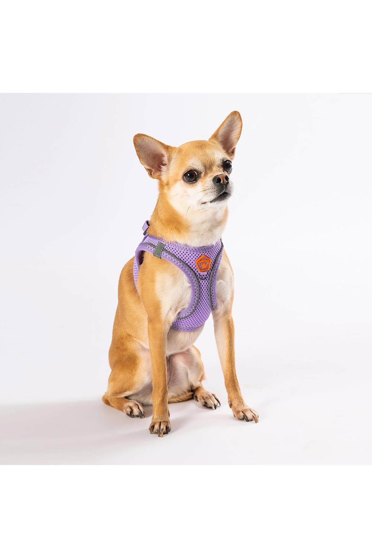 Pawstar Lila Air-mesh Göğüs Tasması Kedi Köpek Göğüs Tasması 3XSmall