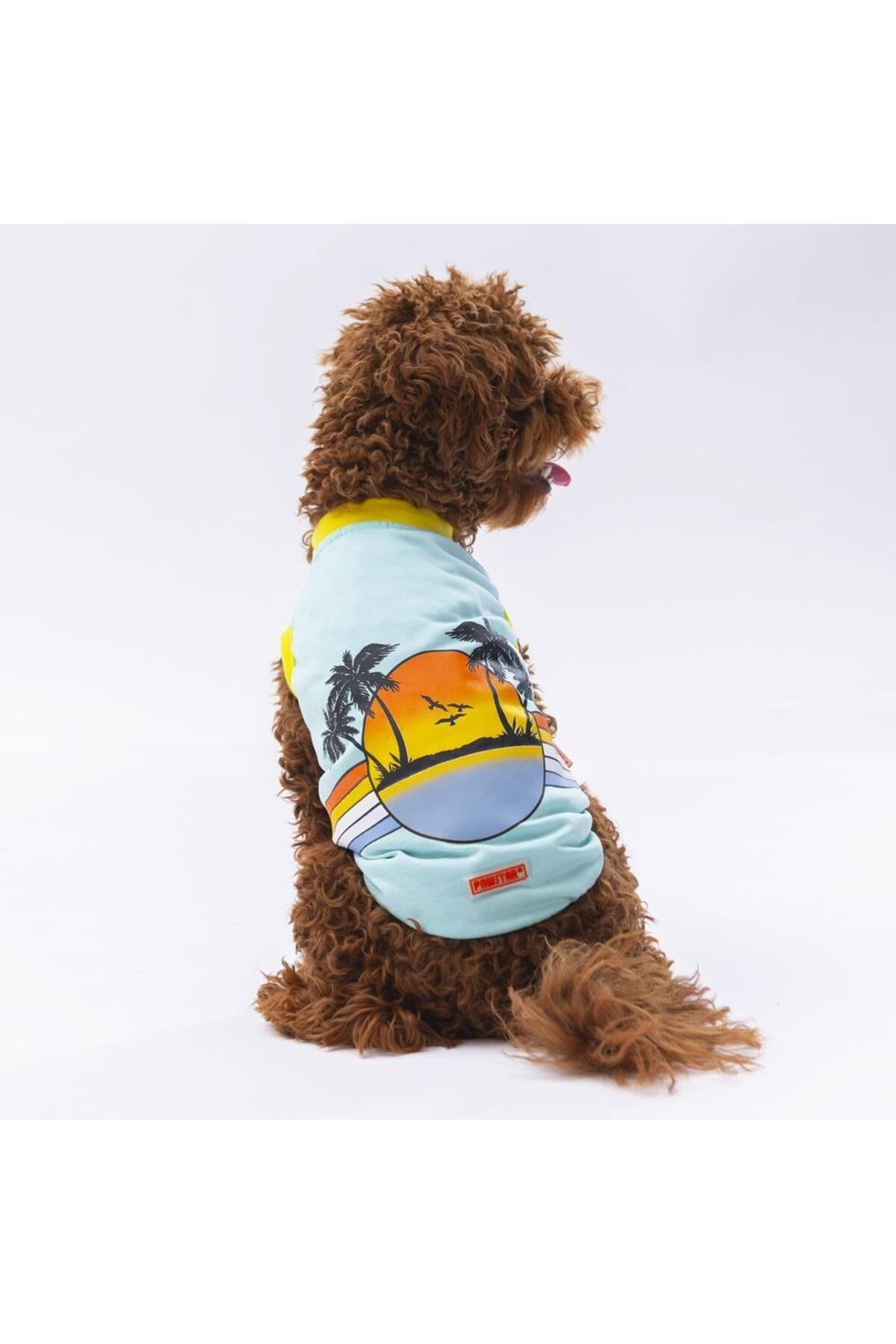 Pawstar Mint Sunrise Kedi Köpek Tişörtü - Kedi Köpek Kıyafeti S